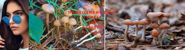 скорость mdpv Арсеньев