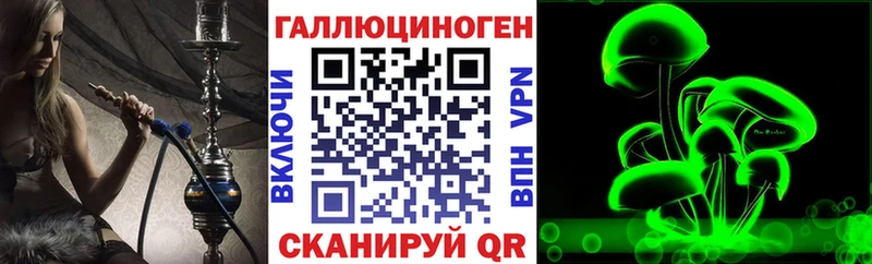 Псилоцибиновые грибы MAGIC MUSHROOMS  наркотики  Искитим 